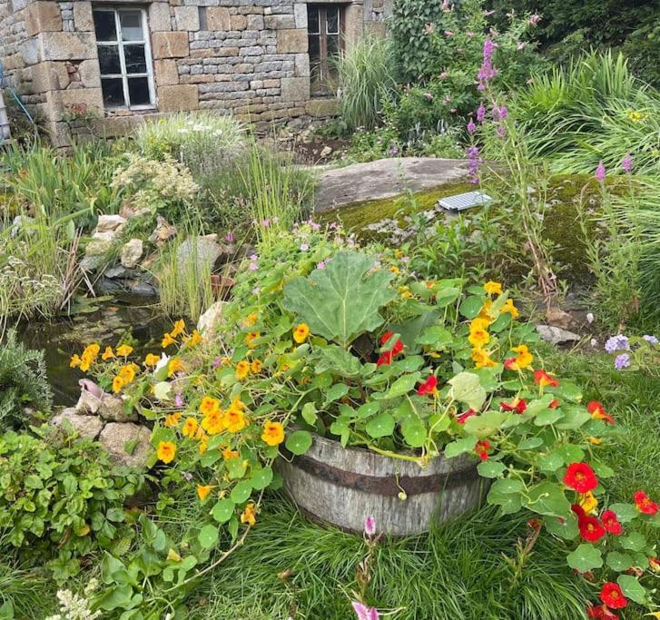 Le Petit Fleur - The Little Flower, Cosy Cottage Saint-Michel-de-Montjoie Εξωτερικό φωτογραφία